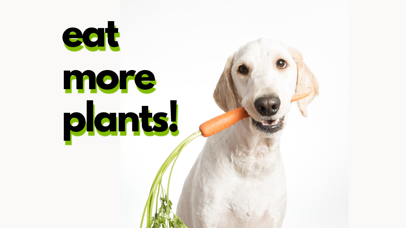 Don’t Say Goodbye to National Fruits & Vegetables Month