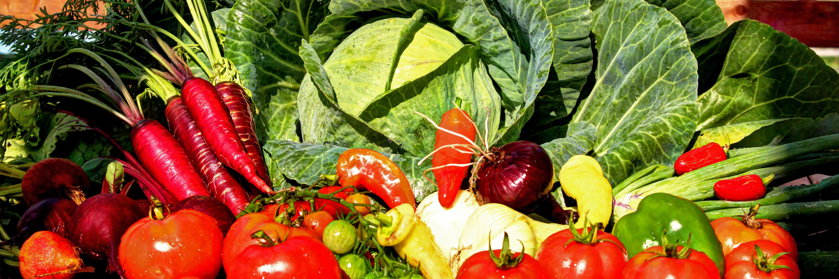 Brightly colored fall produce.