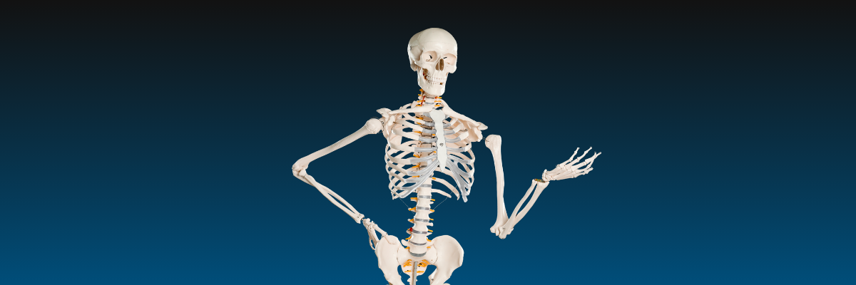 A skeleton with his hand extended against a gradient blue background.