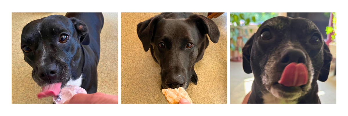 Three pictures of dogs eating homemade just better fiber dog treats.