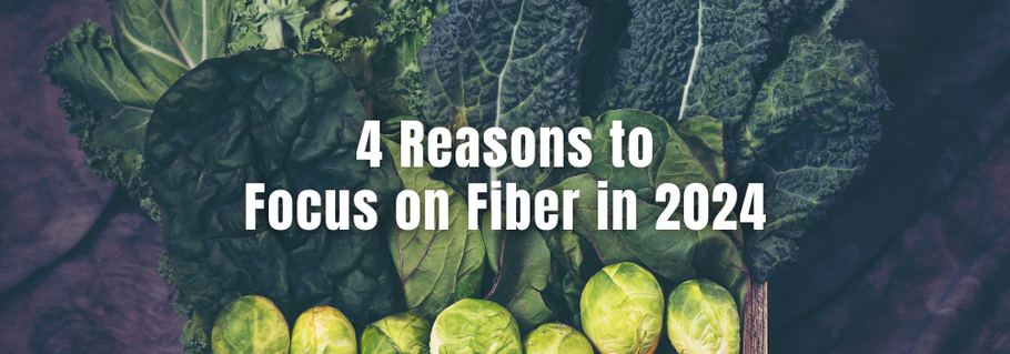 4 Reasons to Focus on Fiber in 2024
