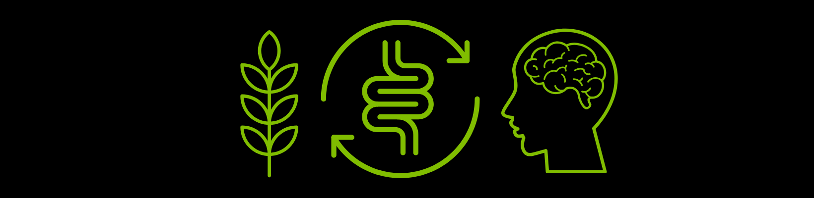 Exploring the Link: Fiber, Gut Health & Alzheimer’s Disease