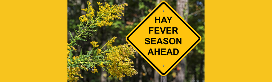 Feed Your Gut, Fight the Sneezes: The Gut Health, Hay Fever Connection