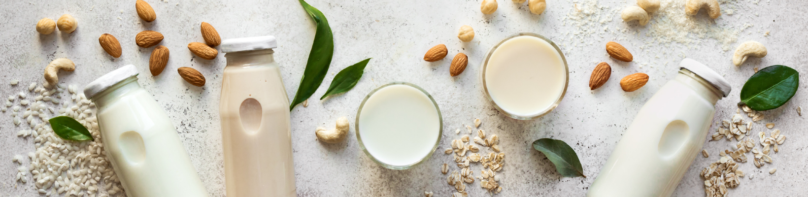 Celebrate World Plant Milk Day: 14 Dairy Alternatives