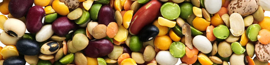 Mighty Legumes: A Guide to Nutrient-Dense Staples