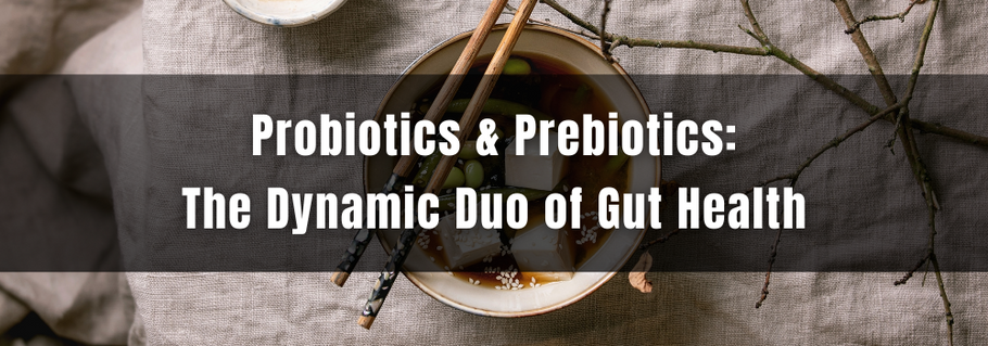 Probiotics & Prebiotics: The Dynamic Duo of Gut Health