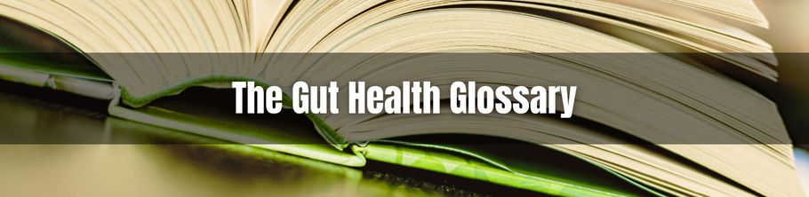 The Gut Health Glossary: Decoding the Science of Wellness