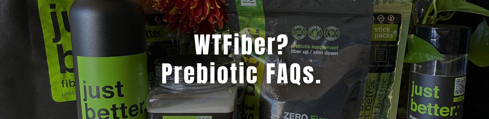 WTFiber? Prebiotic FAQs.