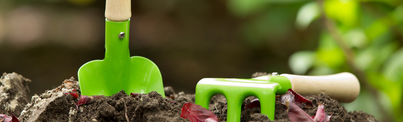 Plant a Gut Healthy Garden