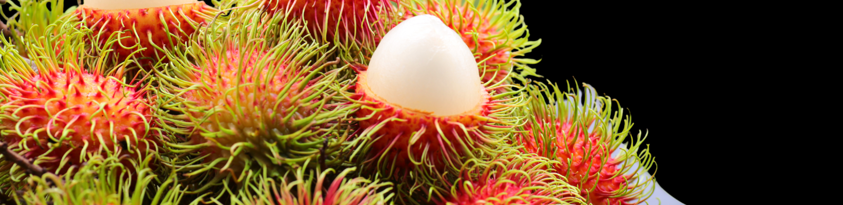 National Fresh Fruit & Vegetables Month: Summer Fruit Edition