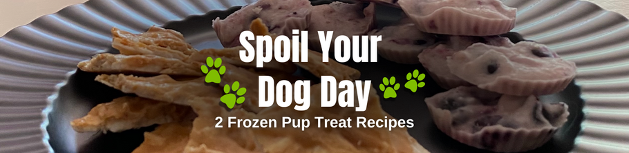 just better.® Recipe of the Week: Spoil Your Dog Day